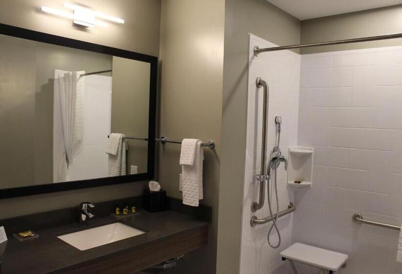 장애인을 위한 킹사이즈 침대 스탠다드 룸, Best Western Plus Dauphin
