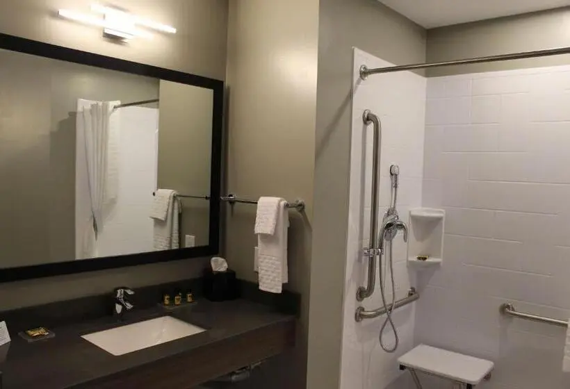 身障者適用キングサイズベッドルーム, Best Western Plus Dauphin