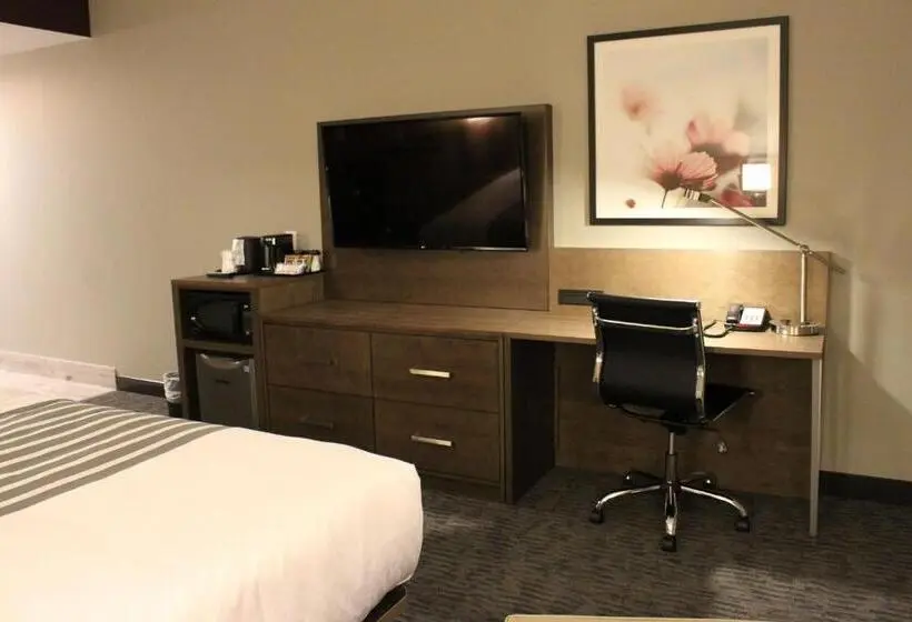 身障者適用キングサイズベッドルーム, Best Western Plus Dauphin