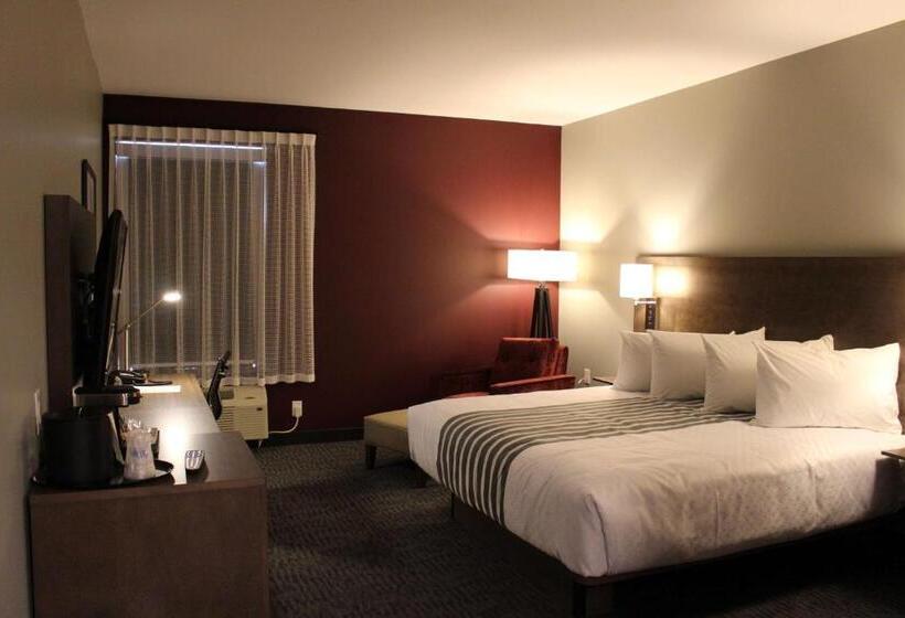 身障者適用キングサイズベッドルーム, Best Western Plus Dauphin