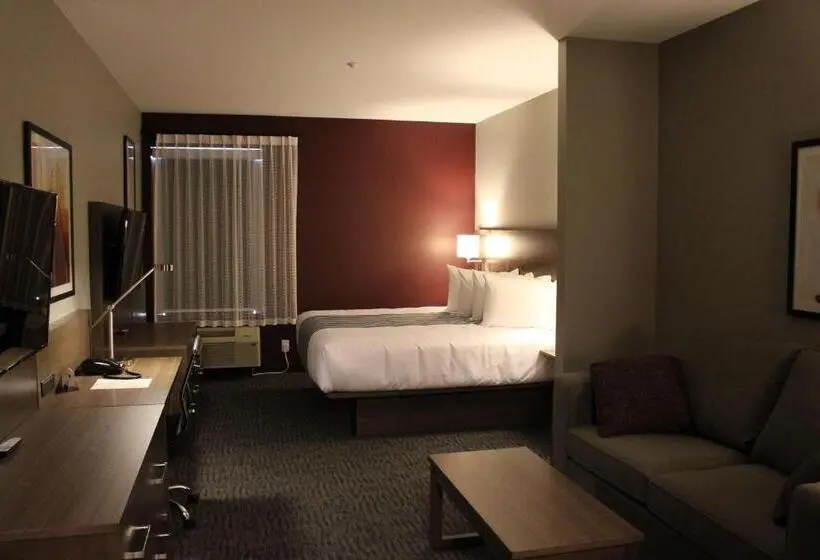 キングサイドベッドのスタンダードワンルーム, Best Western Plus Dauphin