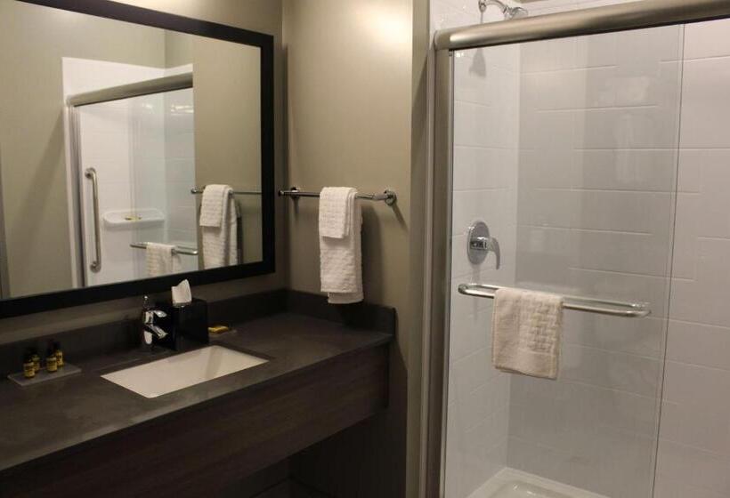 스위트 킹사이즈 침대, Best Western Plus Dauphin
