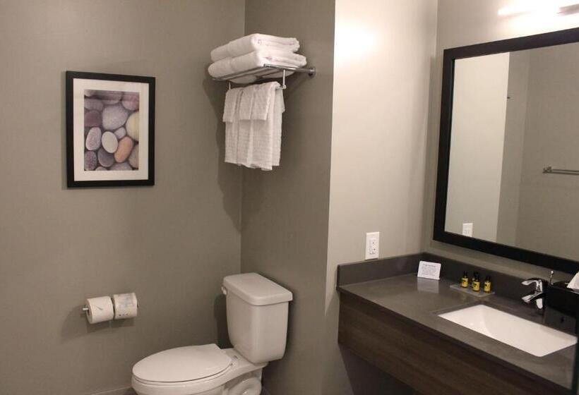 带大床的套房, Best Western Plus Dauphin