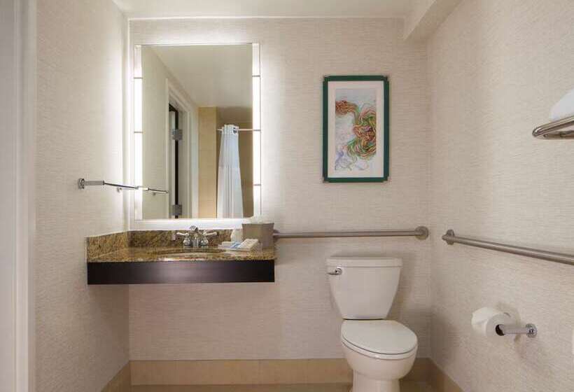 Номер Стандарт Кровать Кинг Адаптированный для Инвалидов, Tru By Hilton St. Petersburg Downtown Central Ave, Fl