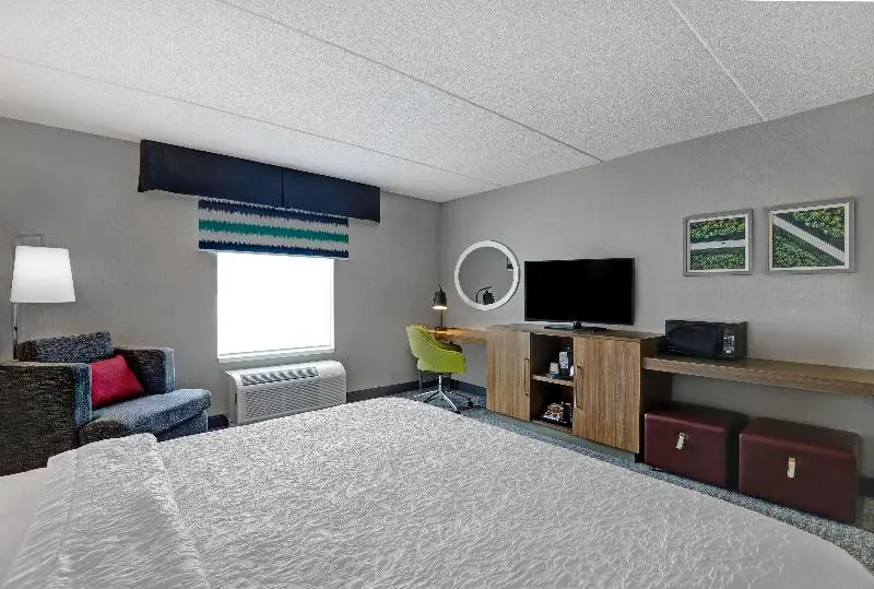 身障者適用キングサイズベッドルーム, Hampton Inn & Suites By Hilton Belleville