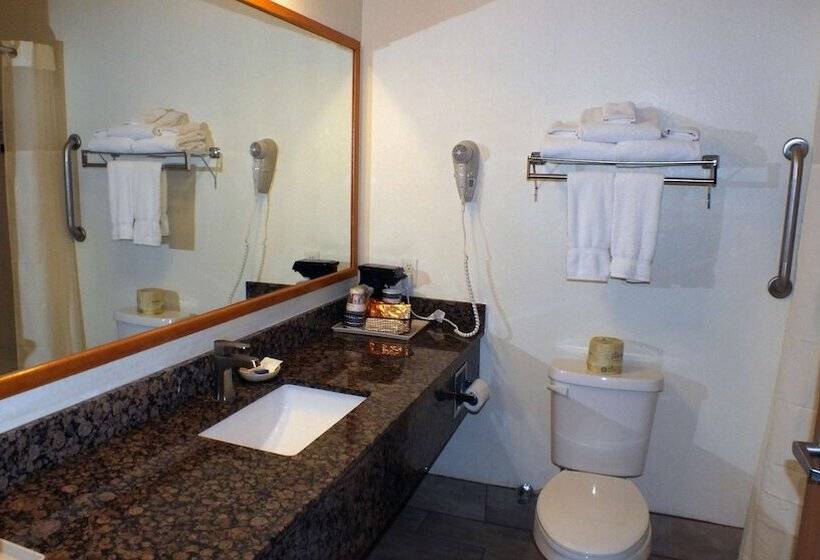 Номер бизнес-класса, Best Western Gold Canyon Inn & Suites