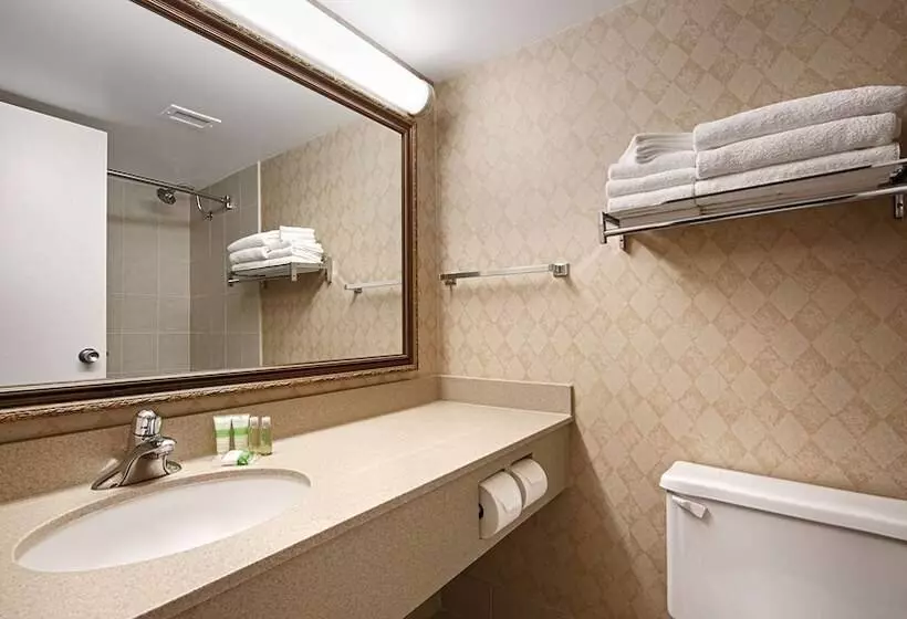 اتاق استاندارد با 2 تخت دوبل, Best Western North Bay Hotel & Conference Centre