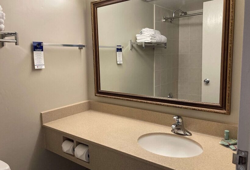 غرفه قياسيه سريرين مزدوجين, Best Western North Bay Hotel & Conference Centre