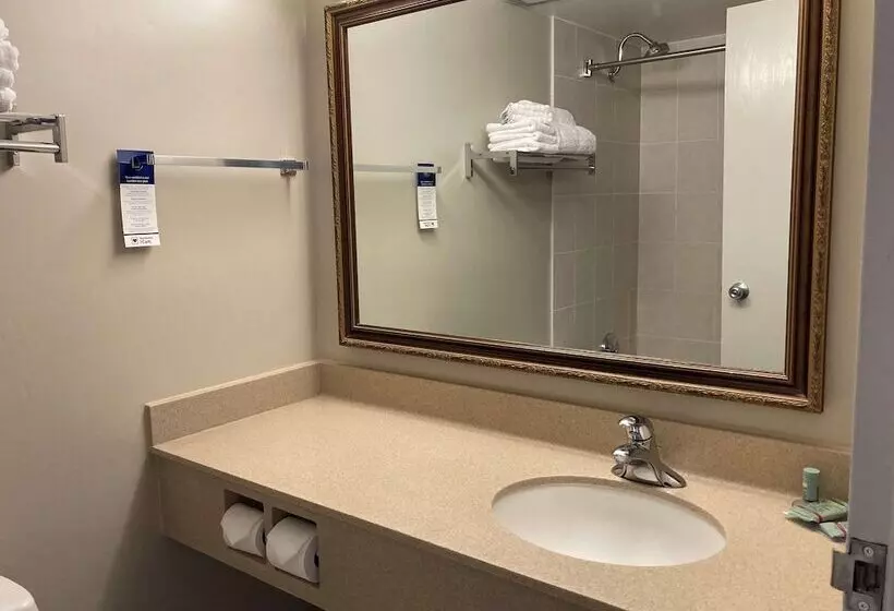 اتاق استاندارد با 2 تخت دوبل, Best Western North Bay Hotel & Conference Centre