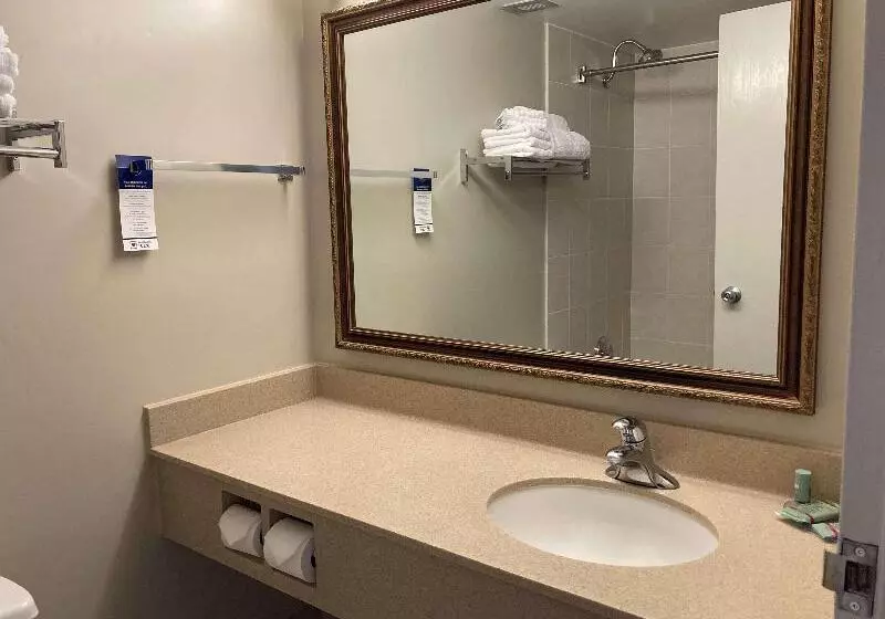 اتاق استاندارد با تخت دو نفره بزرگ, Best Western North Bay Hotel & Conference Centre