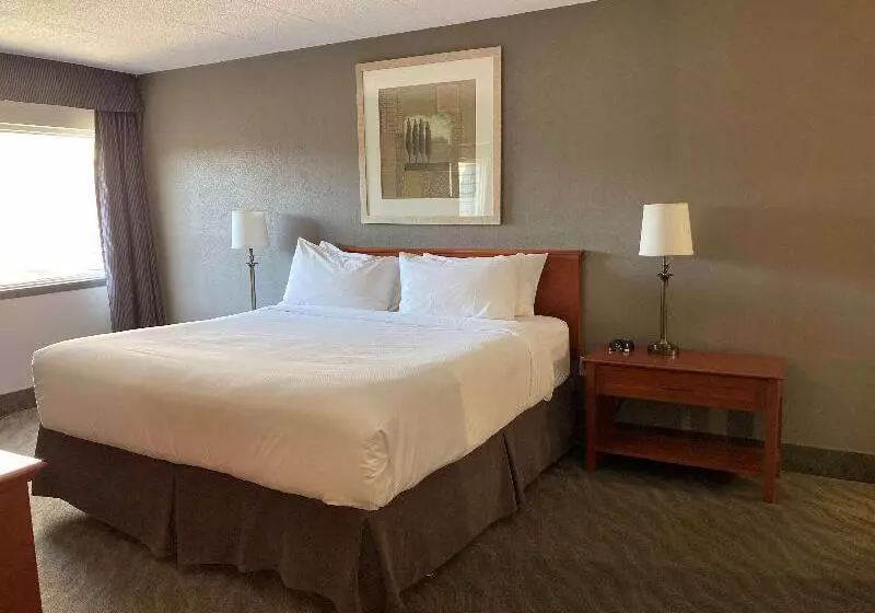 سوئیت با تخت بزرگ, Best Western North Bay Hotel & Conference Centre