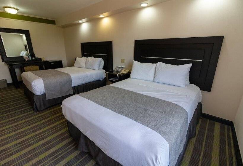 غرفه قياسيه سريرين مزدوجين, Best Western Hotel Plaza Matamoros