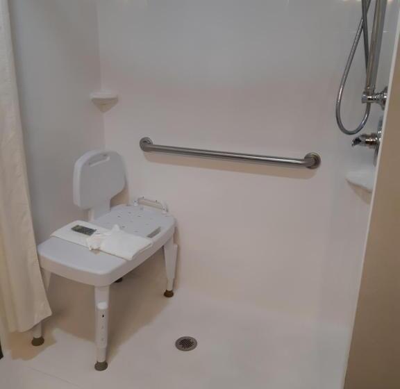 غرفة قياسية سرير كينج لذوى الإحتياجات الخاصة, Best Western Timberridge Inn