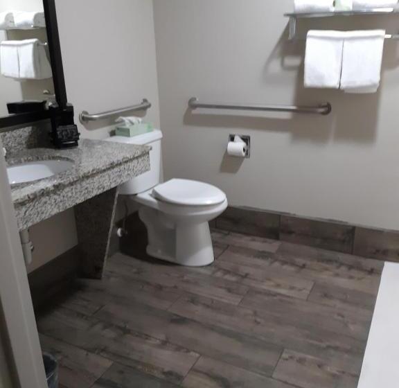 غرفة قياسية سرير كينج لذوى الإحتياجات الخاصة, Best Western Timberridge Inn