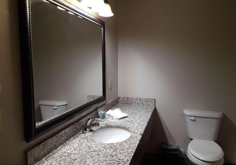 غرفة قياسية, Best Western Timberridge Inn