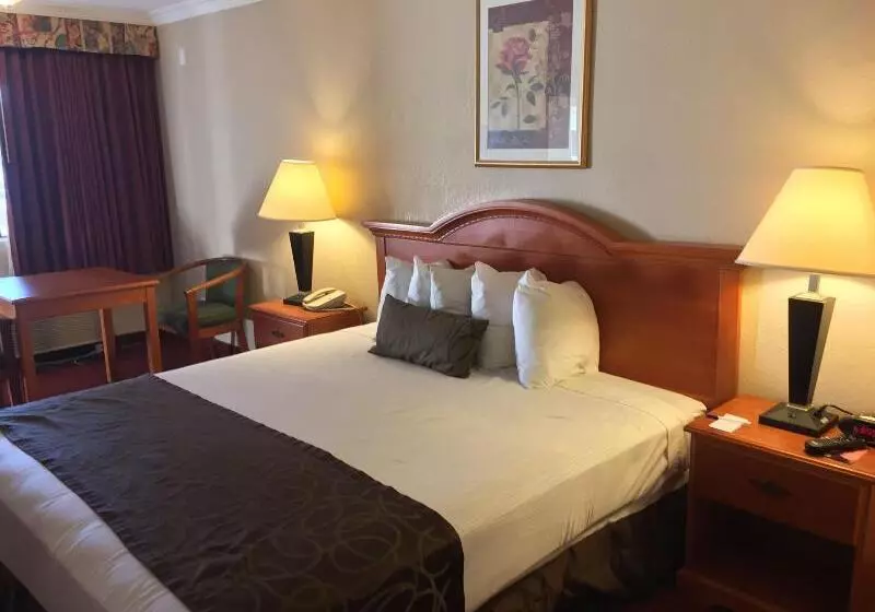 اتاق استاندارد با تخت بزرگ, Chula Vista Inn