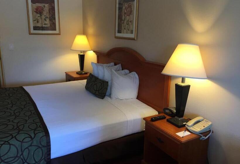 キングサイズベッドのスタンダードルーム, Chula Vista Inn