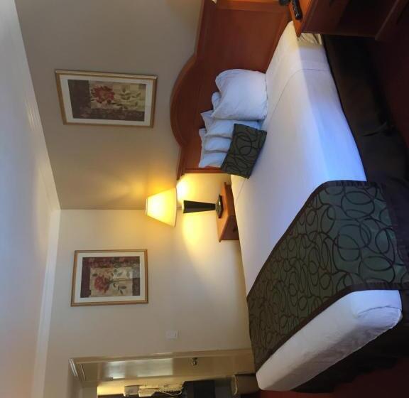 キングサイズベッドのスタンダードルーム, Chula Vista Inn