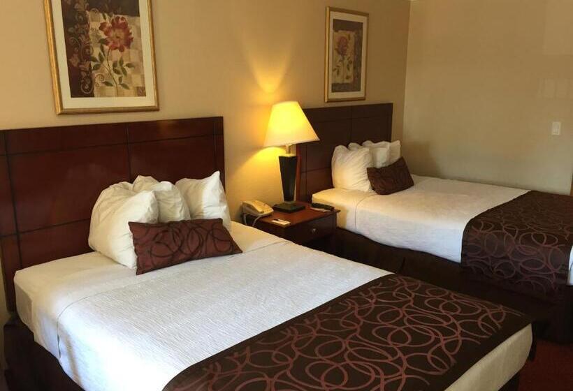 スタンダードルーム, Chula Vista Inn