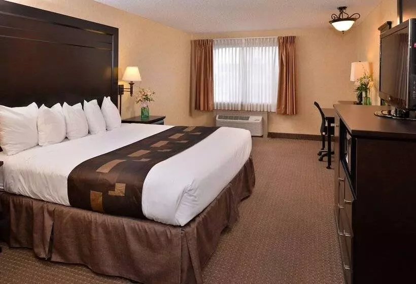 اتاق استاندارد با تخت بزرگ برای معلولان, Kelly Inn Billings