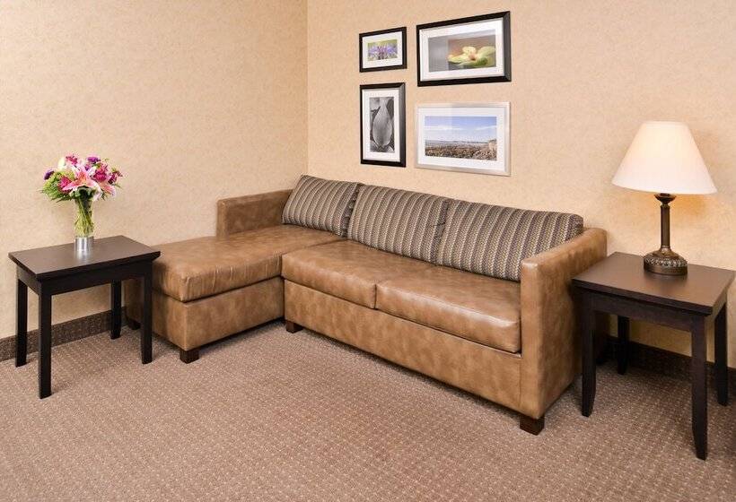 Номер Deluxe, Kelly Inn Billings