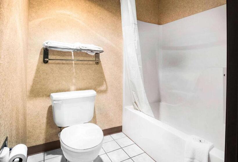 Номер Стандарт, Quality Inn Monee I57