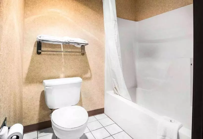 スタンダードルーム, Quality Inn Monee I57