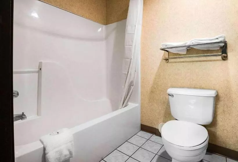 スタンダードルーム, Quality Inn Monee I57