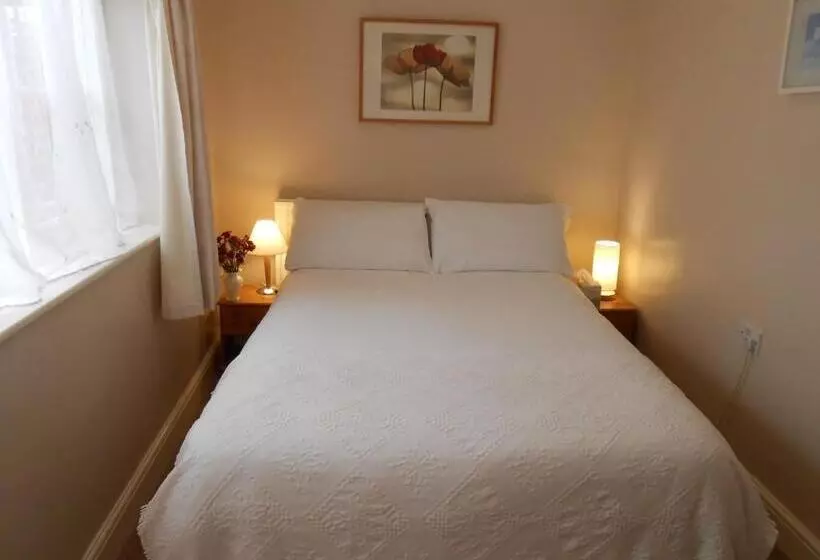 スタンダードシングルルーム, South Park Guest House