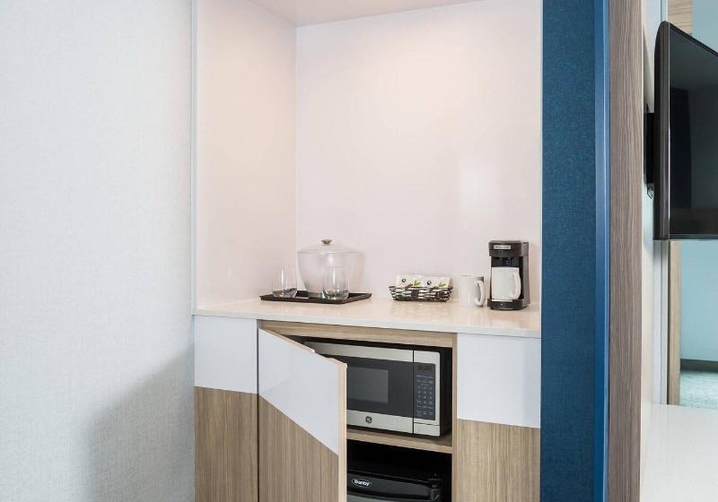 Студио Стандарт Кровать Кинг, Springhill Suites St. Paul Downtown