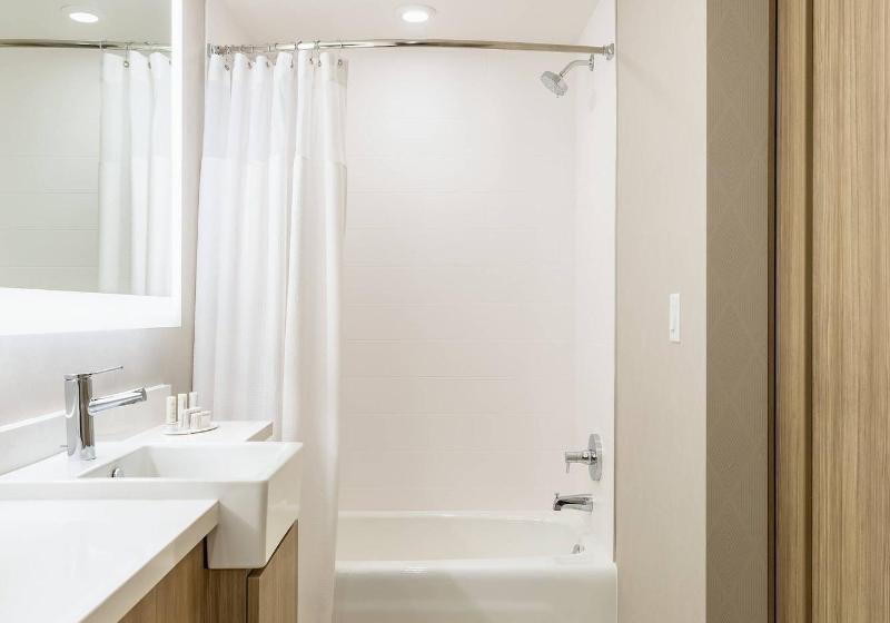 Студия Стандарт Кровать Куин, Springhill Suites St. Paul Downtown