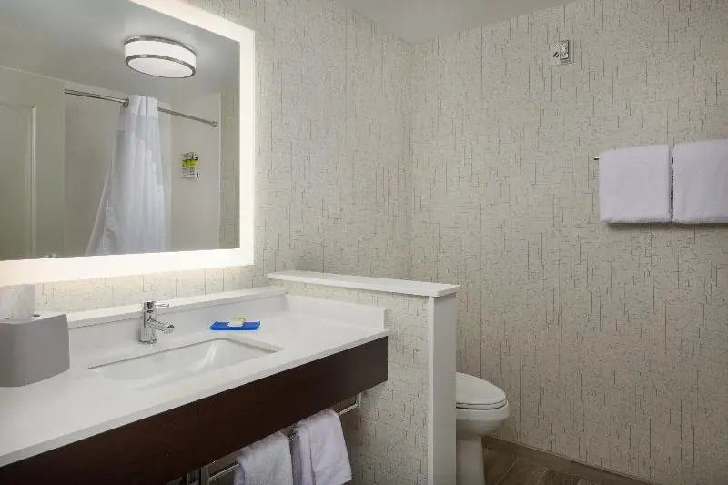 身障者適用キングサイズベッドルーム, Holiday Inn Express Lockport, An Ihg