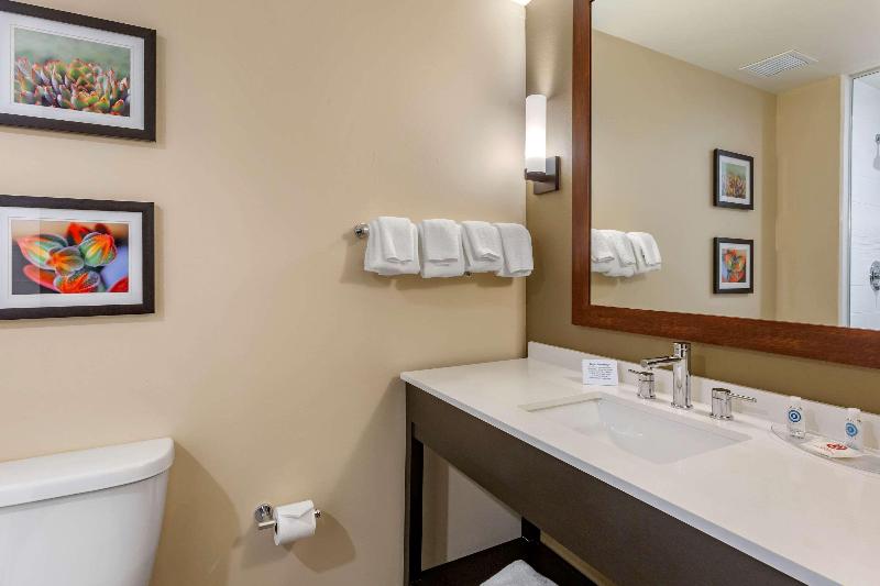 Номер Стандарт Адаптированный для Инвалидов, Holiday Inn Express   Lockport, An Ihg