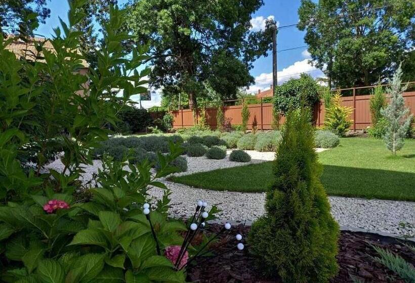 إستوديو قياسى, Bokor Vendégház