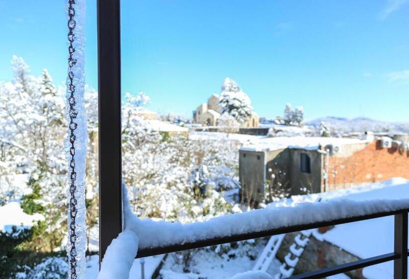 اتاق استاندارد با چشم‌انداز باغ, History