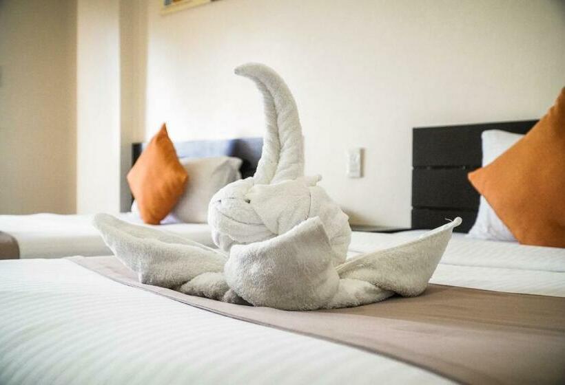 اتاق لوکس با چشمانداز دریا, Navarro