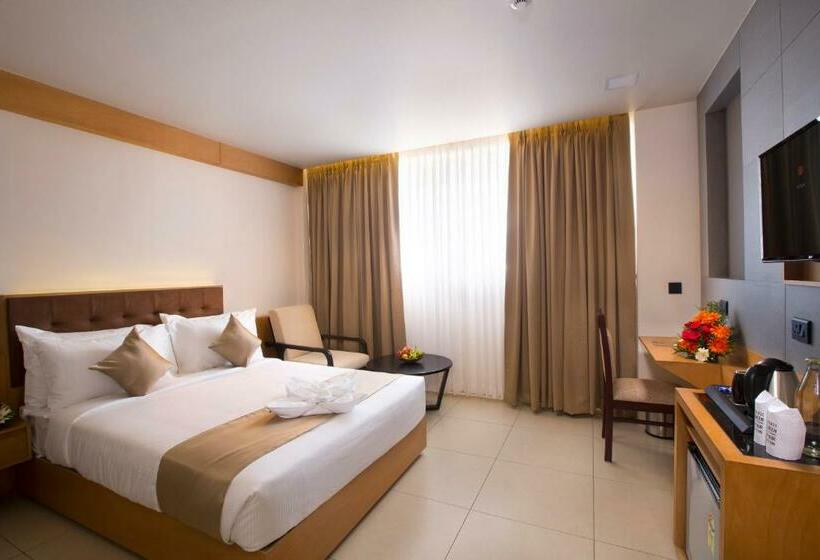 스탠다드 룸, North Seven