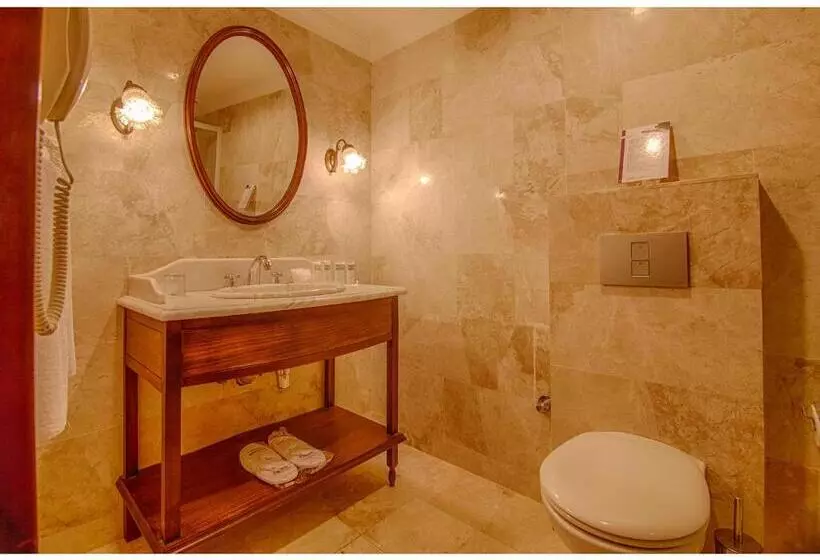 Superior Room, Anemon Koleksiyon Galata Otel