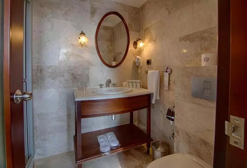 Standard Room, Anemon Koleksiyon Galata Otel