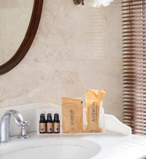 اتاق لوکس, Anemon Koleksiyon Galata Otel