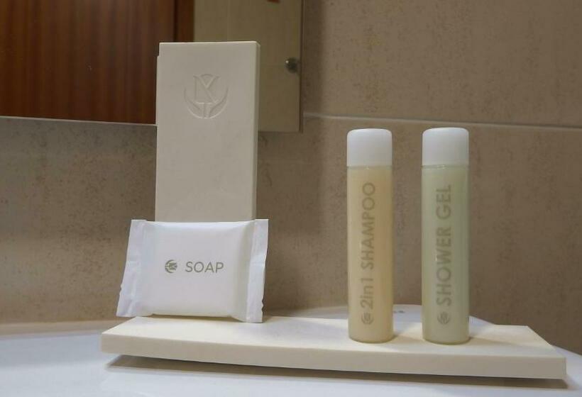 اتاق استاندارد یک نفره, The Lince Braga