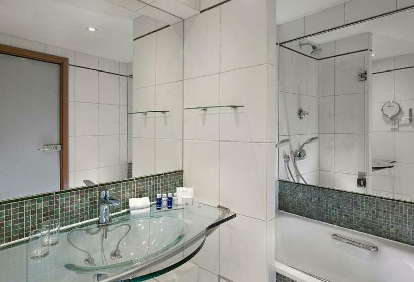 Номер Superior, Park Plaza Victoria London