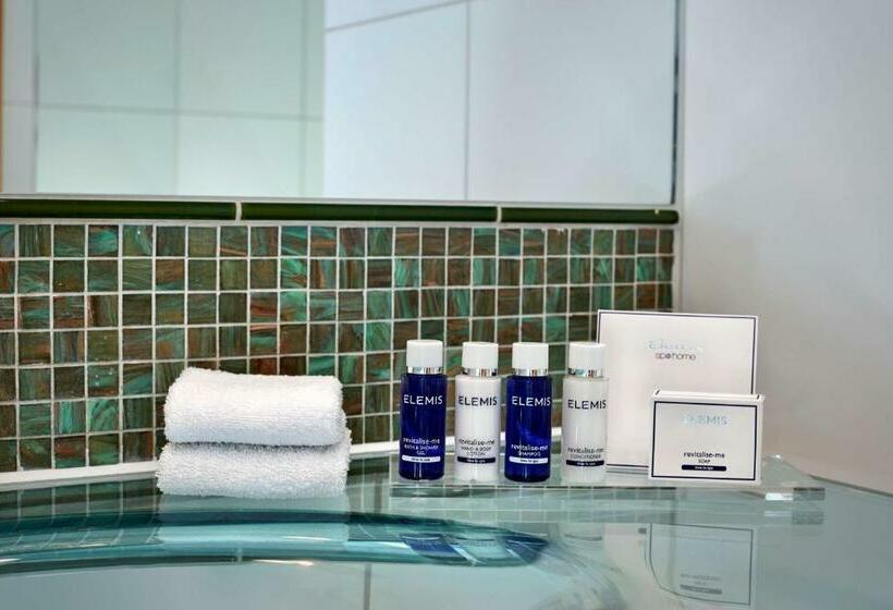 غرفة إدارية سرير كينج, Park Plaza Victoria London