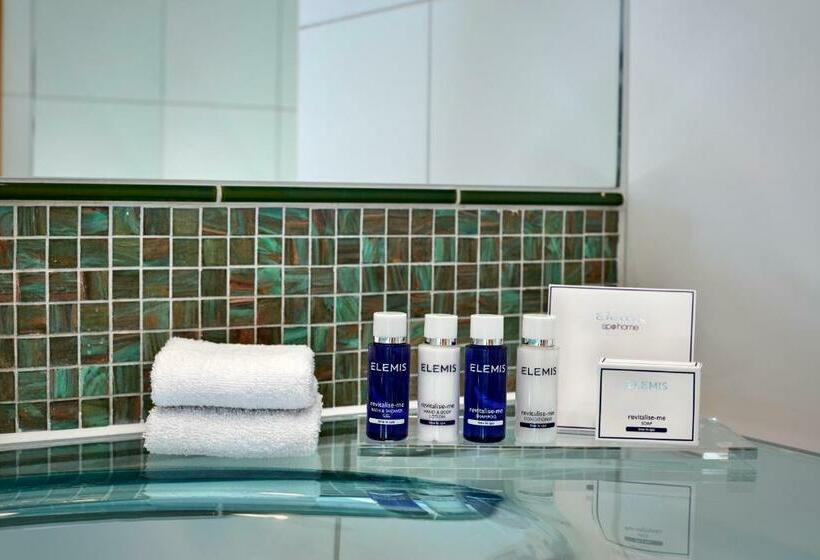 غرفة إدارية سرير كينج, Park Plaza Victoria London