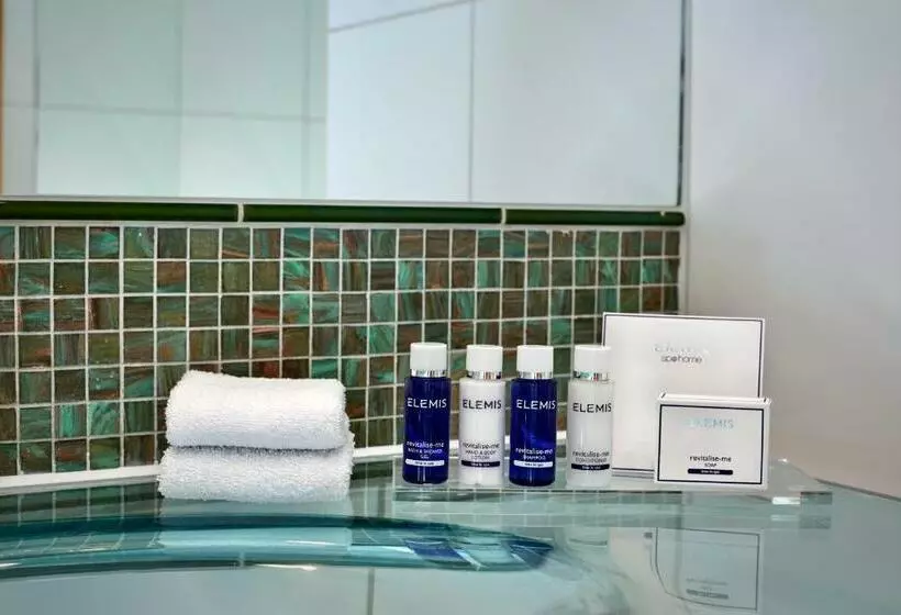 اتاق اجرایی با تخت بزرگ, Park Plaza Victoria London