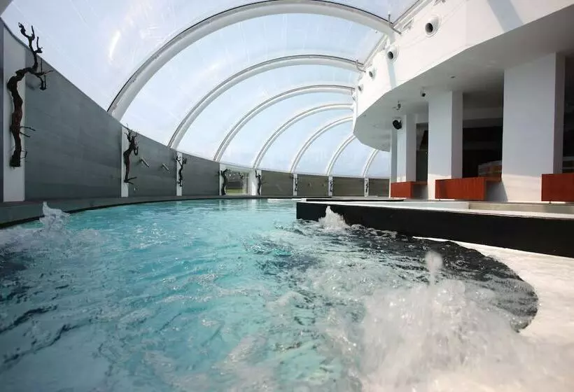 اتاق استاندارد با دسترسی به اسپا, Silken Villa De Laguardia
