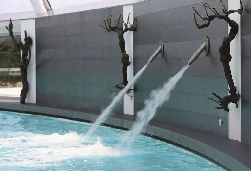 اتاق استاندارد با دسترسی به اسپا, Silken Villa De Laguardia