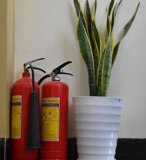 اتاق استاندارد, Th Quy Nhơn