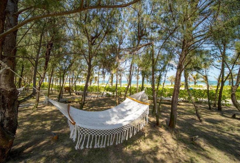 ویلای 1 خوابه با چشمانداز دریا, Sao Mai Beach Resort