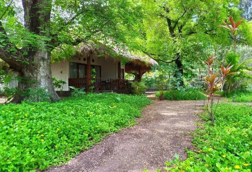 اتاق لوکس, Amrita Maumere Resort